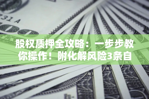北京股权质押全攻略：一步步教你操作！附化解风险3条自救法则
