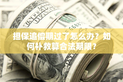 北京担保追偿期过了怎么办？如何补救算合法期限？