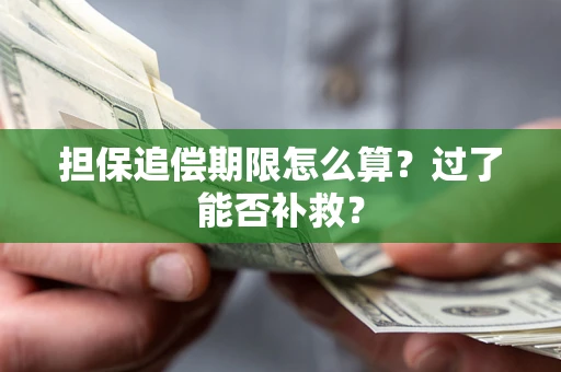 北京担保追偿期限怎么算？过了能否补救？